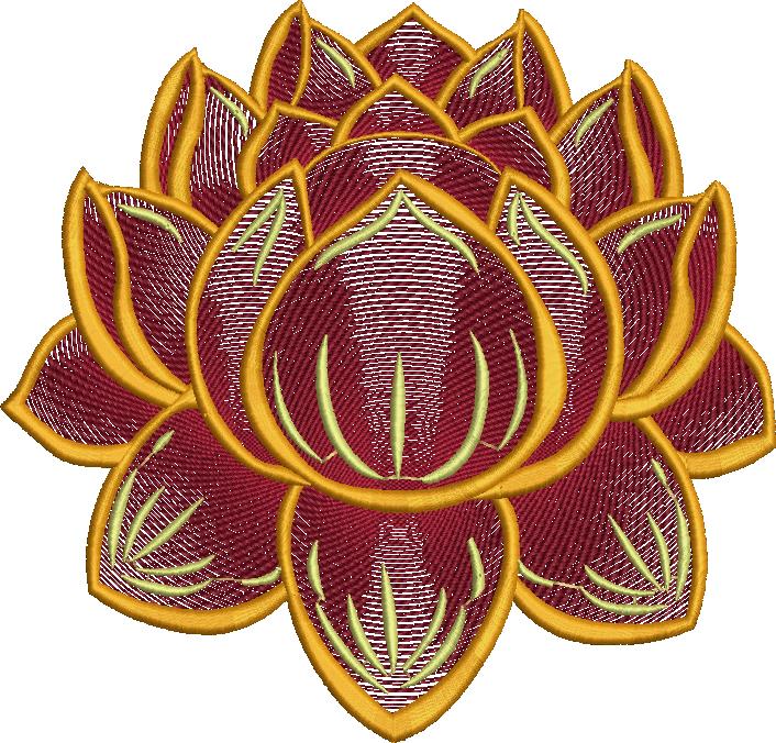 tender lotus (3)